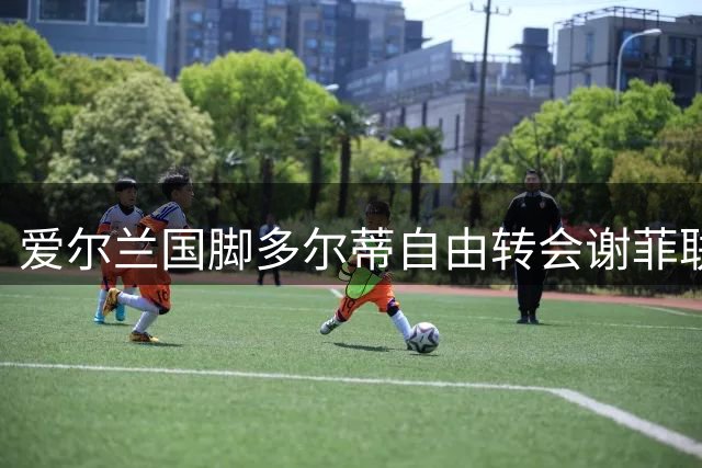 爱尔兰国脚多尔蒂自由转会谢菲联 怀尔德盛赞其为"文化承载者