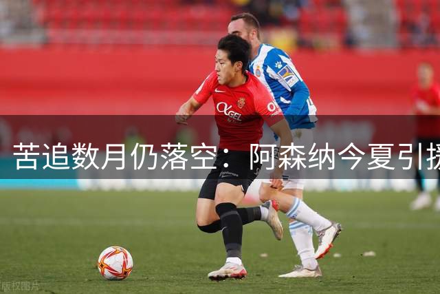 苦追数月仍落空：阿森纳今夏引援为何全线溃败